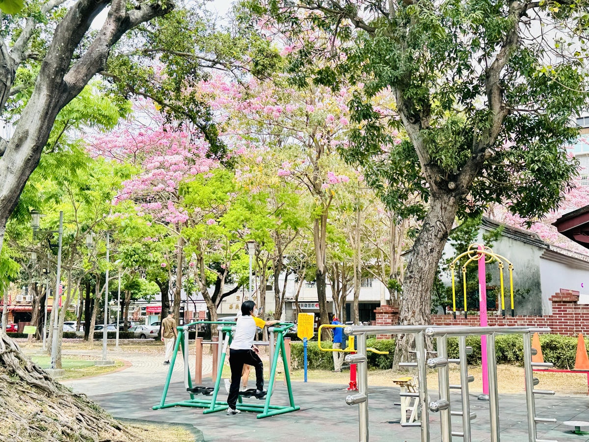 ★嘉義親子景點推薦★超萌青蛙主題『文化公園-諸羅樹蛙遊戲場』