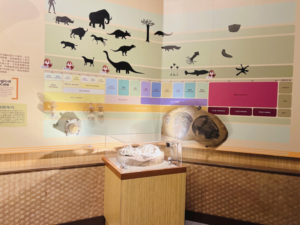 ★南投●竹山*車籠埔斷層保存園區*銅板價親子點,有超擬真熱氣 ★南投●竹山*車籠埔斷層保存園區*銅板價親子點,有超擬真熱氣