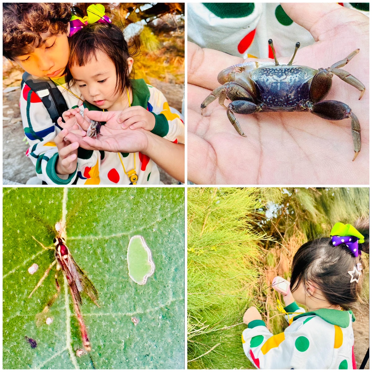 ★台中住宿●蟬說:夕陽漫漫*擁有最美夕陽的高美濕地親子豪華露 ★台中住宿●蟬說:夕陽漫漫*擁有最美夕陽的高美濕地親子豪華露