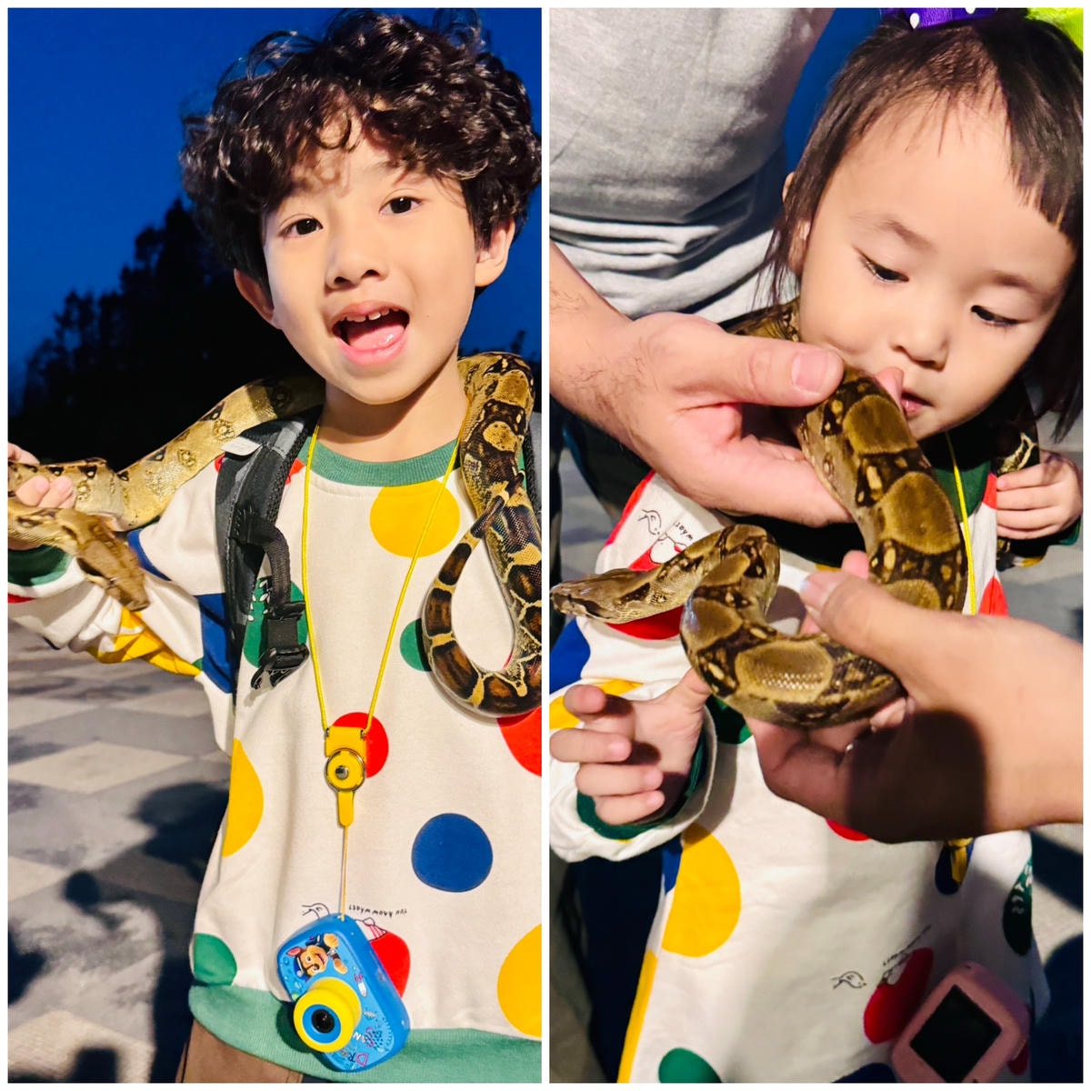 ★台中住宿●蟬說:夕陽漫漫*擁有最美夕陽的高美濕地親子豪華露 ★台中住宿●蟬說:夕陽漫漫*擁有最美夕陽的高美濕地親子豪華露