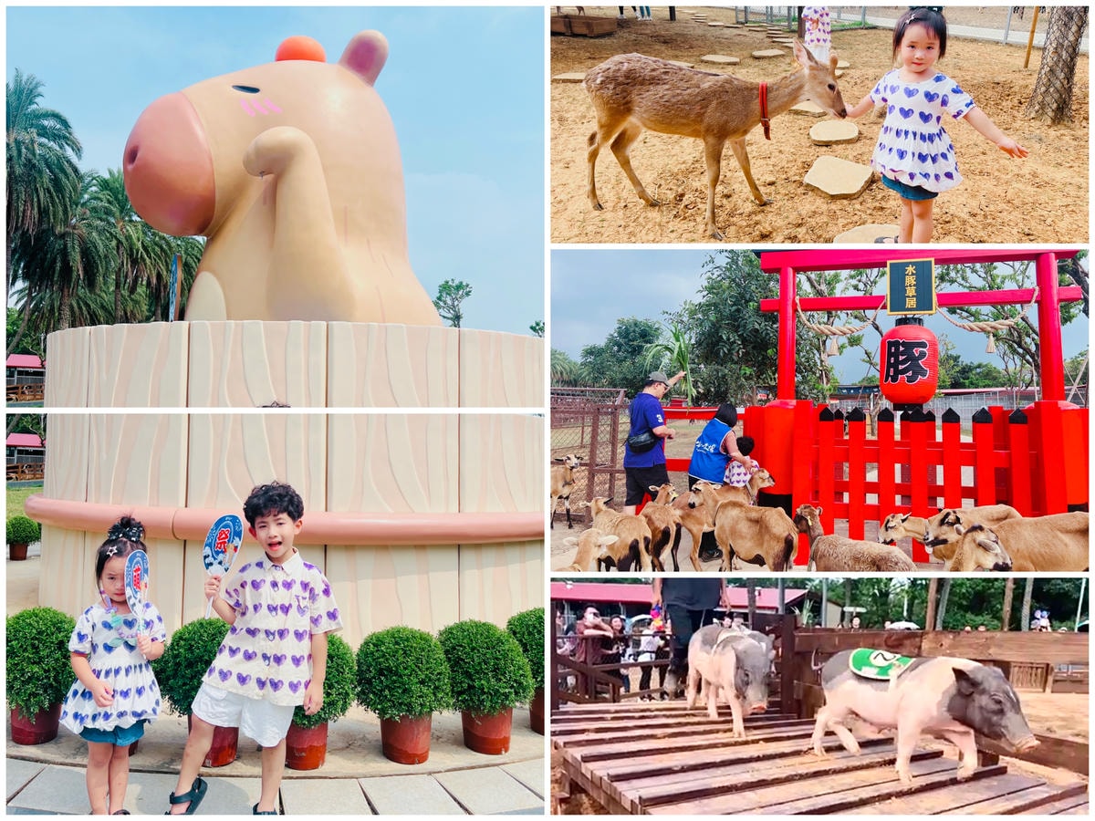 ★南投住宿●泰雅渡假村*守護木³島,一起來挑戰成為勇士!!伐 ★南投住宿●泰雅渡假村*守護木³島,一起來挑戰成為勇士!!伐