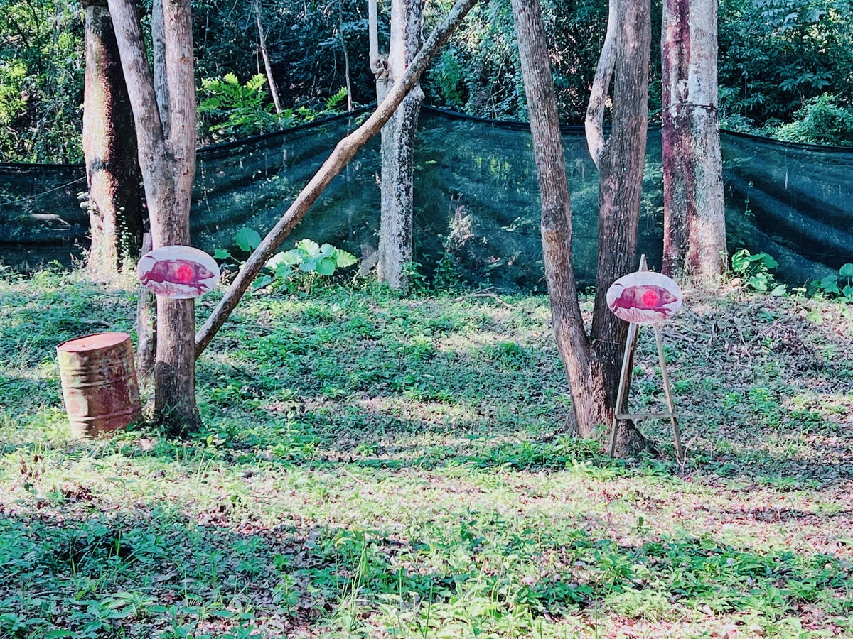 ★南投住宿●泰雅渡假村*守護木³島,一起來挑戰成為勇士!!伐 ★南投住宿●泰雅渡假村*守護木³島,一起來挑戰成為勇士!!伐