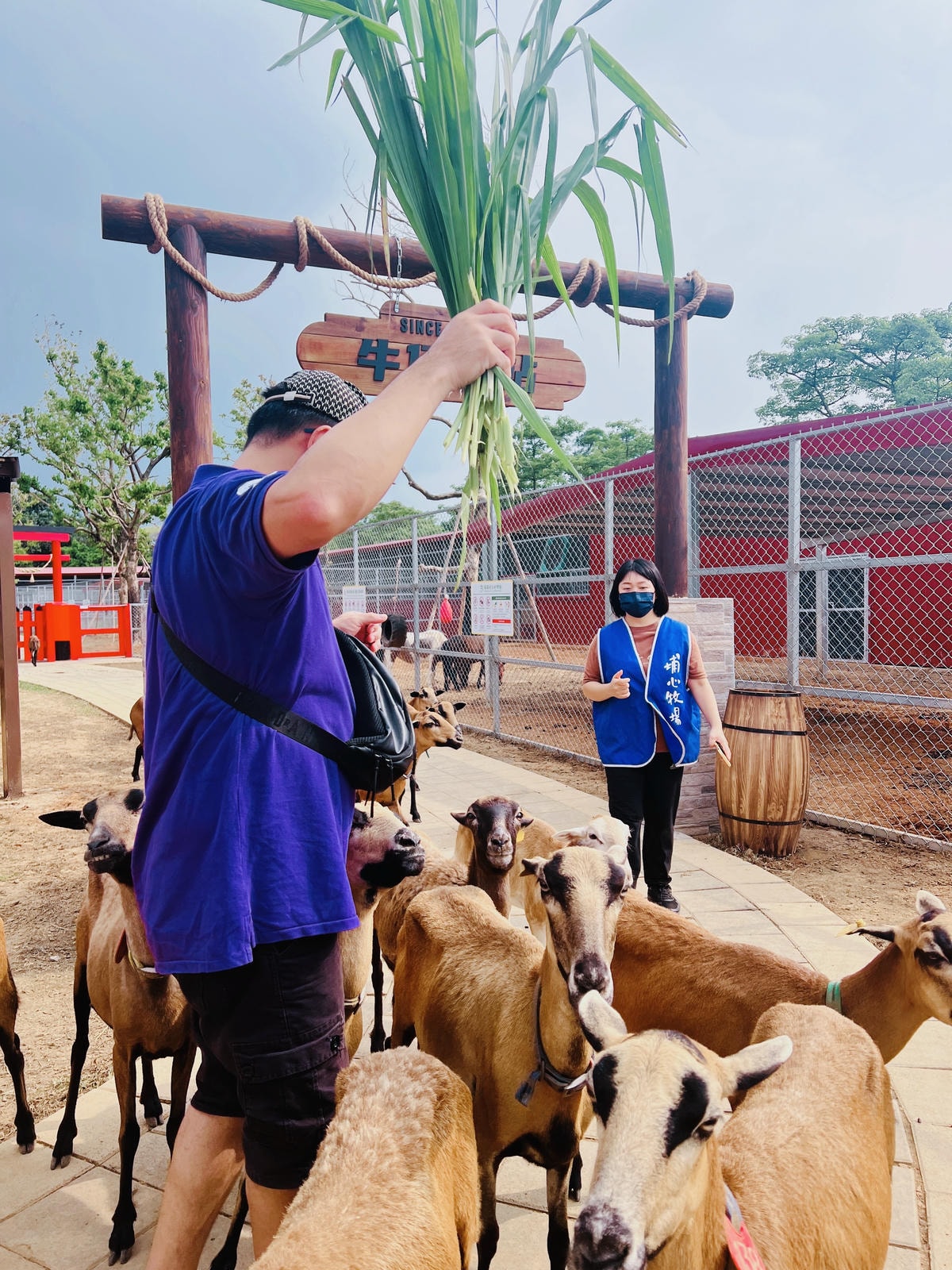 ★桃園親子景點推薦★埔心牧場全新改版2.0登場,最新打卡點『 ★桃園親子景點推薦★埔心牧場全新改版2.0登場,最新打卡點『
