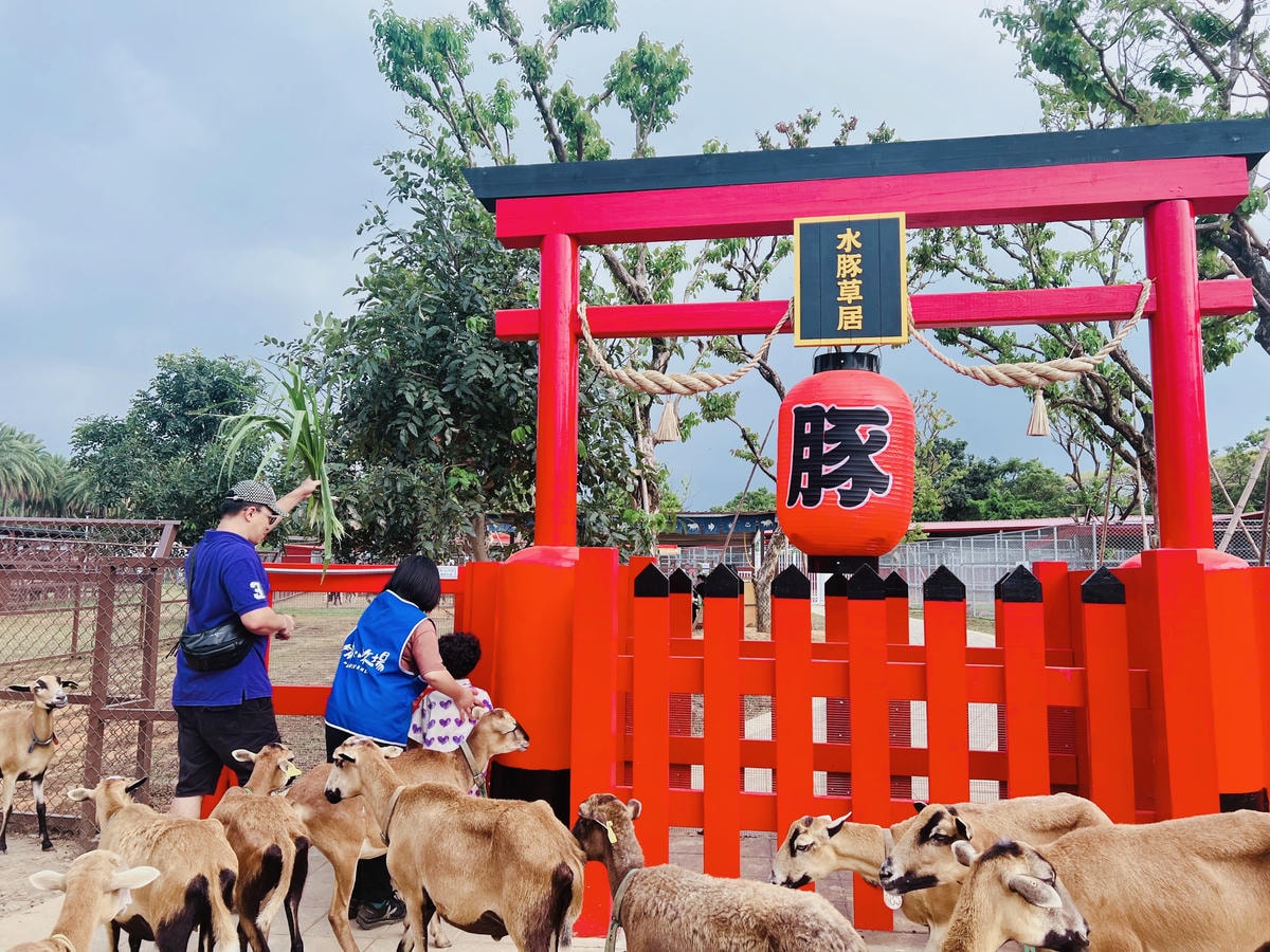 ★桃園親子景點推薦★埔心牧場全新改版2.0登場,最新打卡點『 ★桃園親子景點推薦★埔心牧場全新改版2.0登場,最新打卡點『