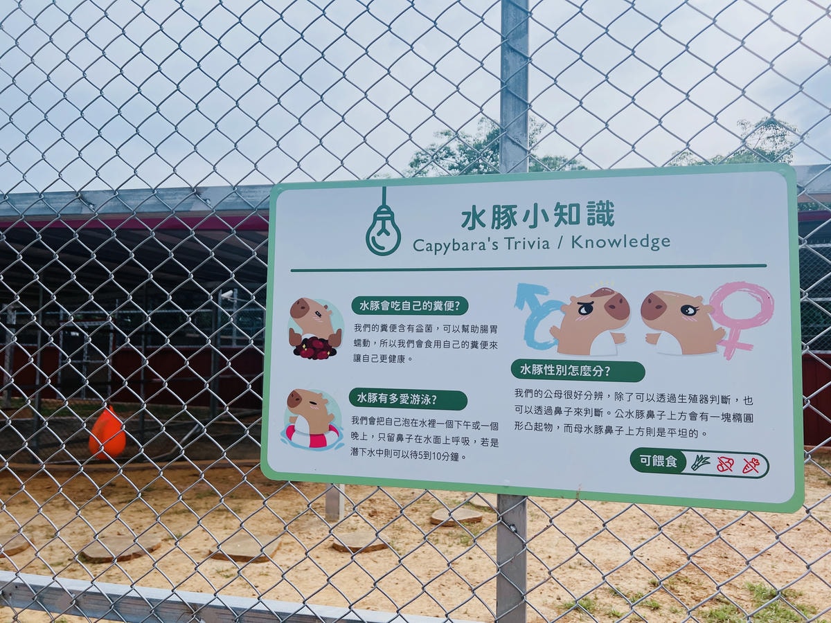 ★桃園親子景點推薦★埔心牧場全新改版2.0登場,最新打卡點『 ★桃園親子景點推薦★埔心牧場全新改版2.0登場,最新打卡點『