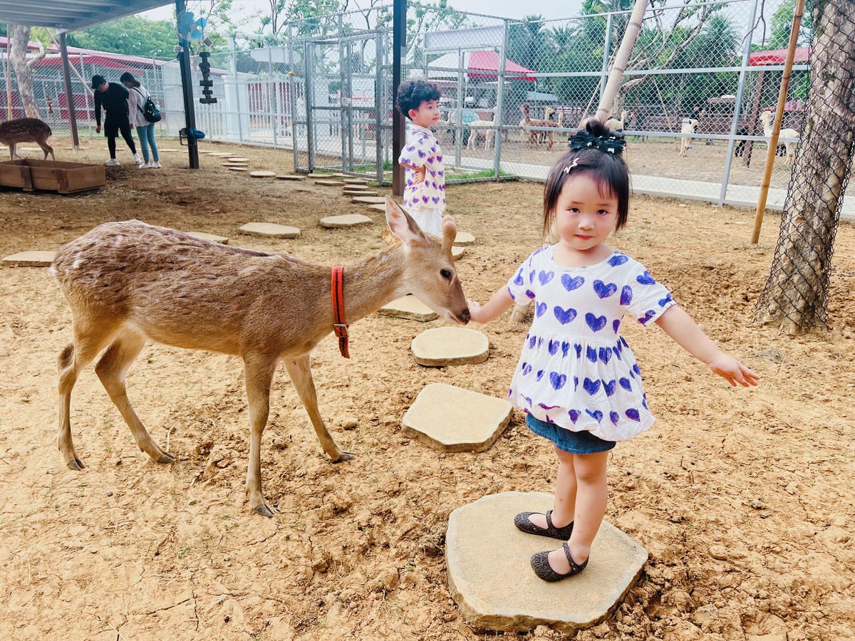 ★桃園親子景點推薦★埔心牧場全新改版2.0登場,最新打卡點『 ★桃園親子景點推薦★埔心牧場全新改版2.0登場,最新打卡點『