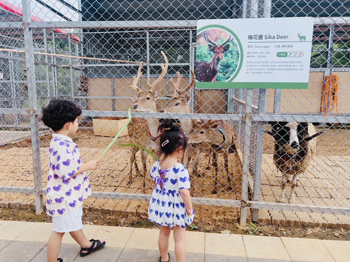 ★桃園親子景點推薦★埔心牧場全新改版2.0登場,最新打卡點『 ★桃園親子景點推薦★埔心牧場全新改版2.0登場,最新打卡點『