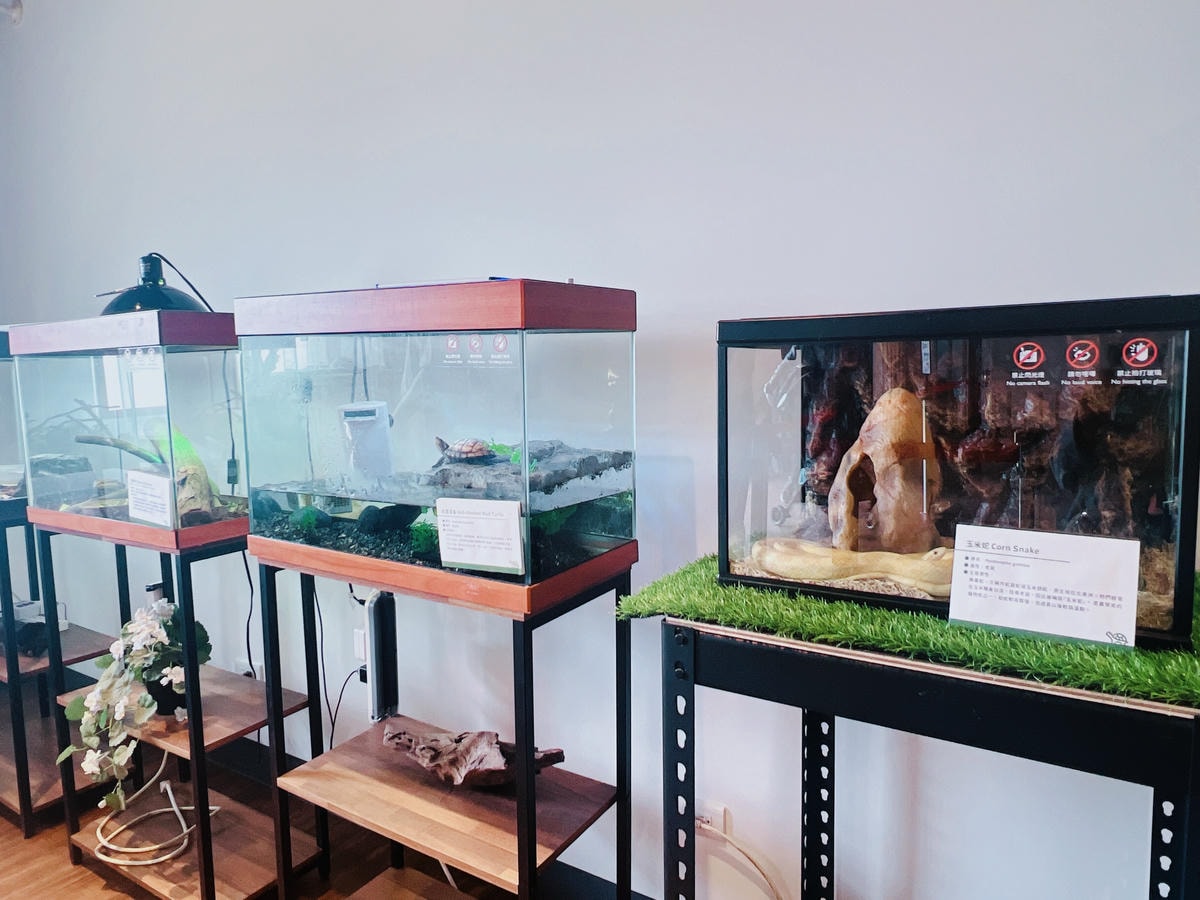 ★桃園親子景點推薦★埔心牧場全新改版2.0登場,最新打卡點『 ★桃園親子景點推薦★埔心牧場全新改版2.0登場,最新打卡點『