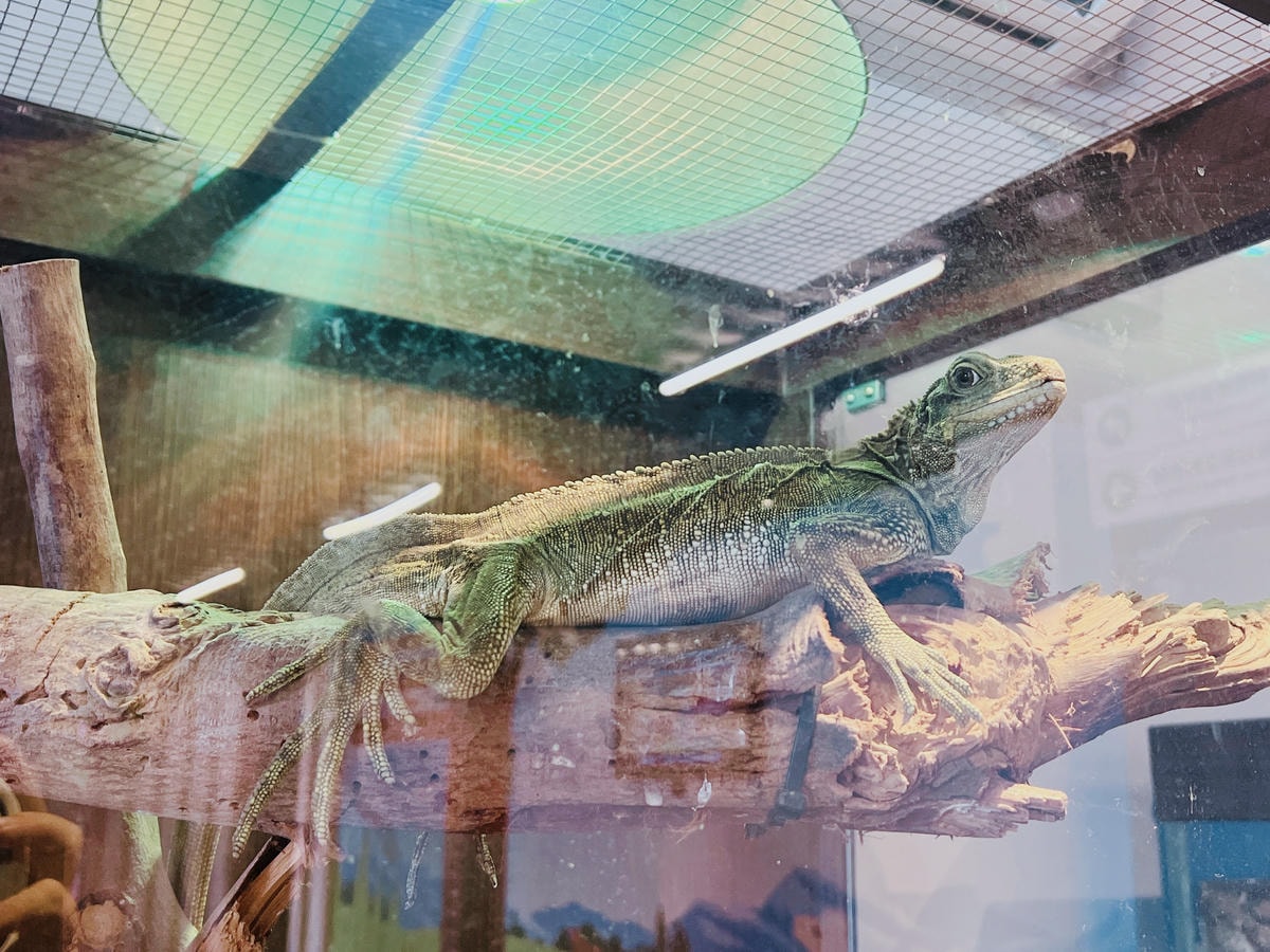 ★桃園親子景點推薦★埔心牧場全新改版2.0登場,最新打卡點『 ★桃園親子景點推薦★埔心牧場全新改版2.0登場,最新打卡點『