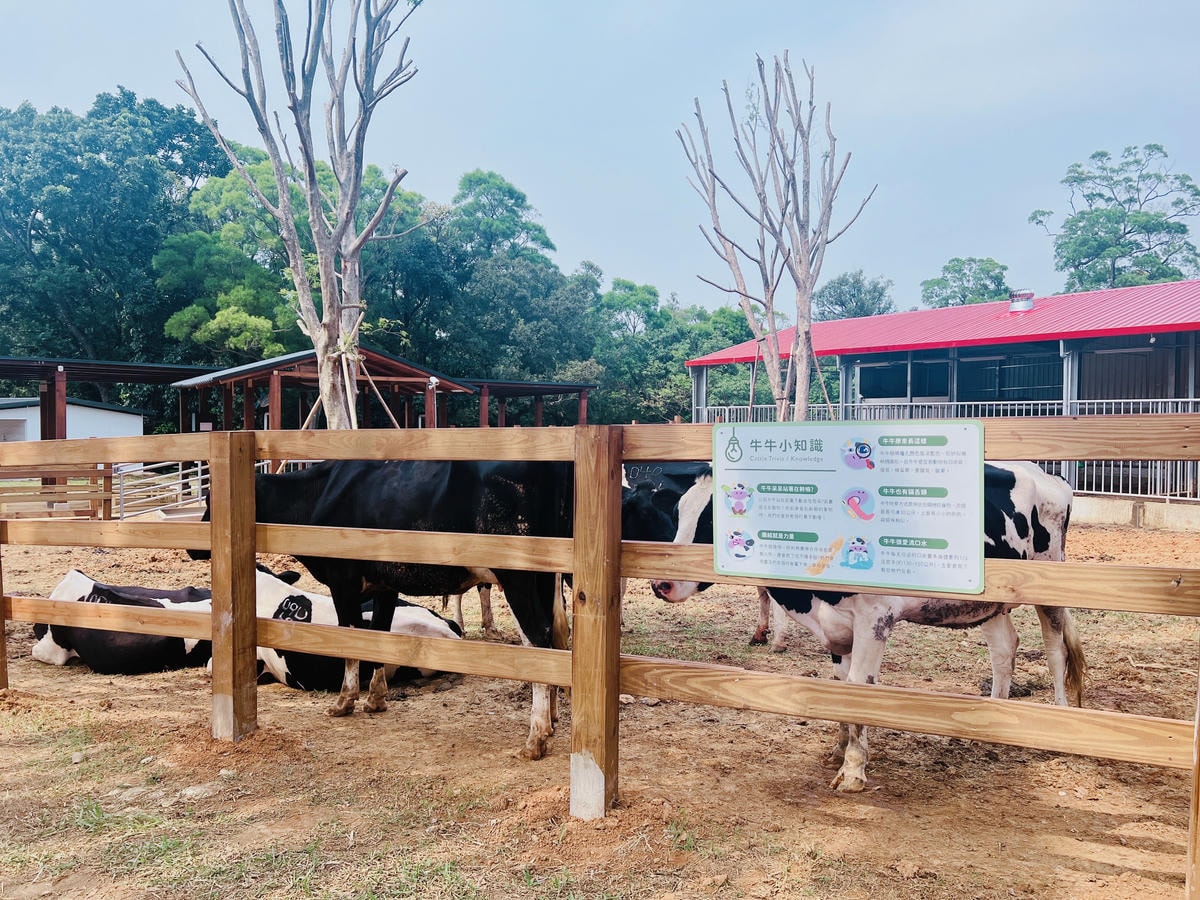 ★桃園親子景點推薦★埔心牧場全新改版2.0登場,最新打卡點『 ★桃園親子景點推薦★埔心牧場全新改版2.0登場,最新打卡點『