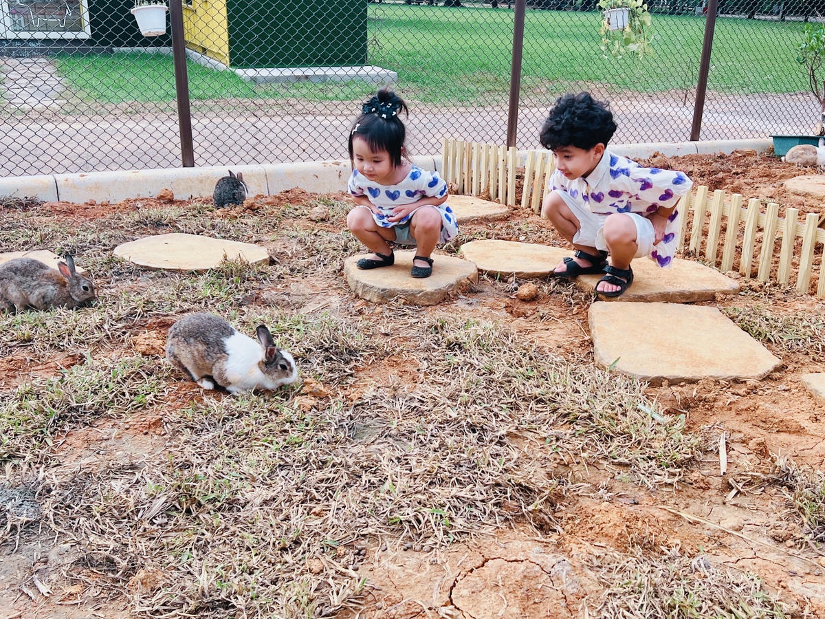 ★桃園親子景點推薦★埔心牧場全新改版2.0登場,最新打卡點『 ★桃園親子景點推薦★埔心牧場全新改版2.0登場,最新打卡點『