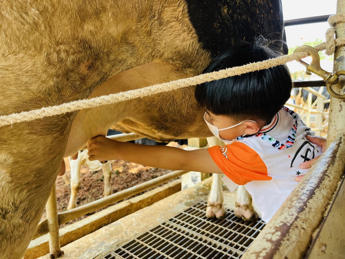 ★桃園親子景點推薦★埔心牧場全新改版2.0登場,最新打卡點『 ★桃園親子景點推薦★埔心牧場全新改版2.0登場,最新打卡點『