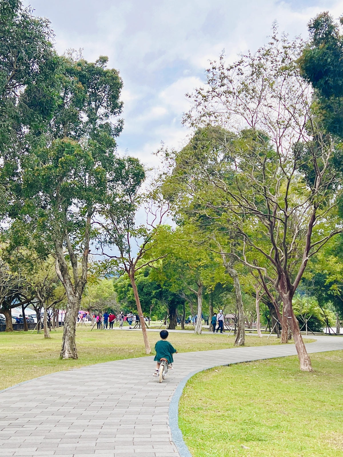 ★桃園●龍潭＊三坑自然生態公園＊一秒來到峇里島偽渡假感公園，