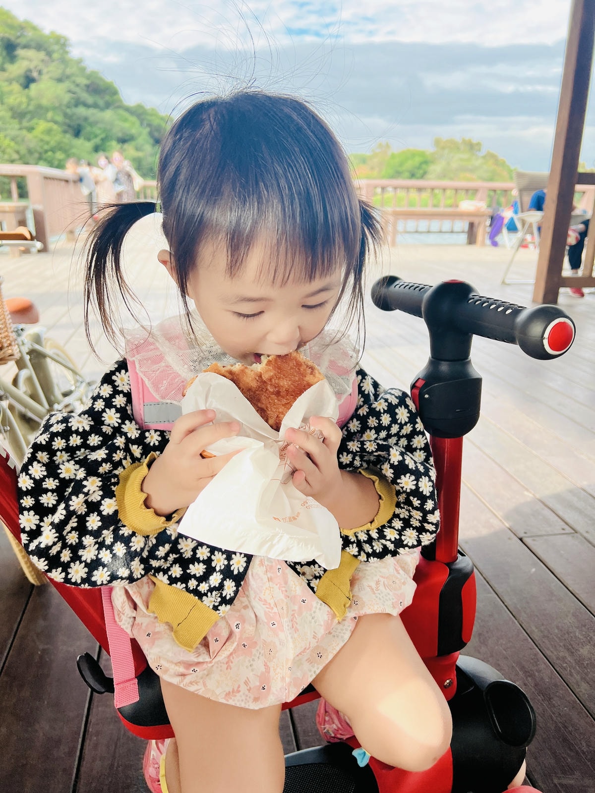 ★桃園●龍潭＊三坑自然生態公園＊一秒來到峇里島偽渡假感公園，