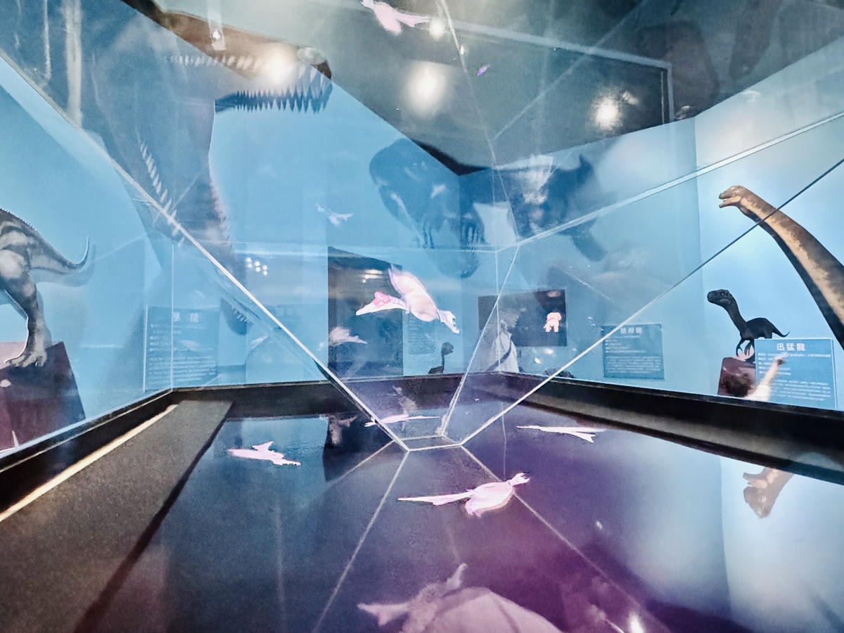★台北親子展覽推薦★『侏羅紀X恐龍光影展』2024年暑假恐龍 ★台北親子展覽推薦★『侏羅紀X恐龍光影展』2024年暑假恐龍