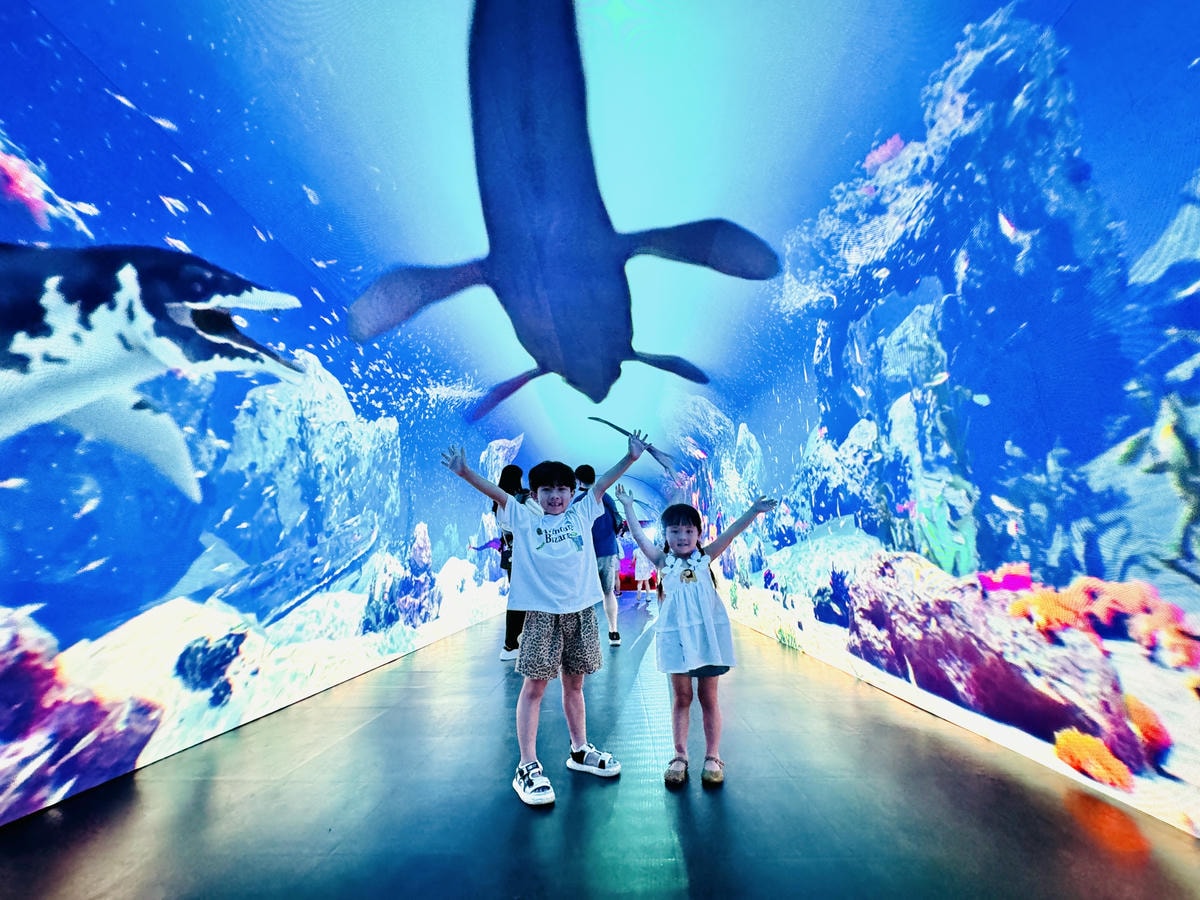 ★台北親子展覽推薦★『侏羅紀X恐龍光影展』2024年暑假恐龍 ★台北親子展覽推薦★『侏羅紀X恐龍光影展』2024年暑假恐龍