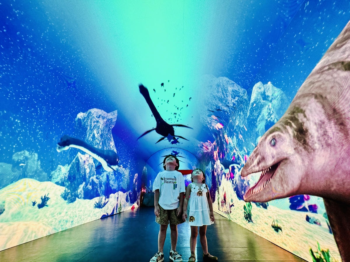 ★台北親子展覽推薦★『侏羅紀X恐龍光影展』2024年暑假恐龍 ★台北親子展覽推薦★『侏羅紀X恐龍光影展』2024年暑假恐龍