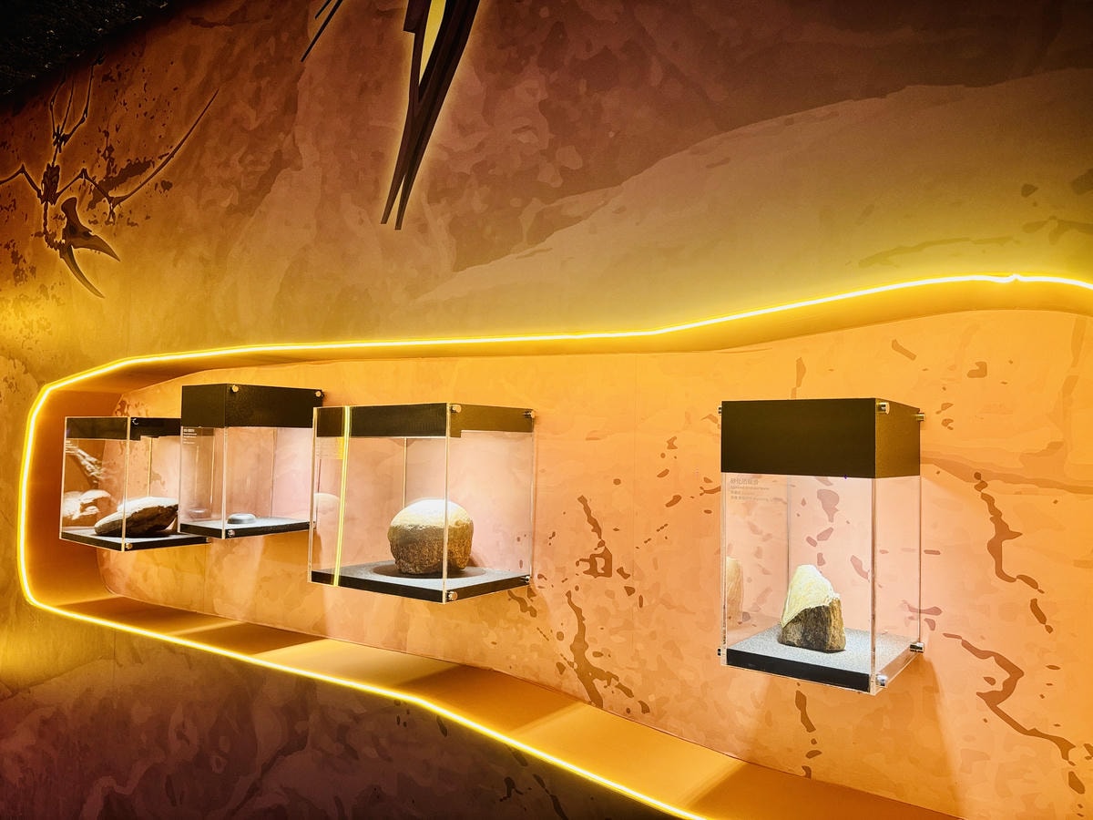 ★台北親子展覽推薦★『侏羅紀X恐龍光影展』2024年暑假恐龍 ★台北親子展覽推薦★『侏羅紀X恐龍光影展』2024年暑假恐龍