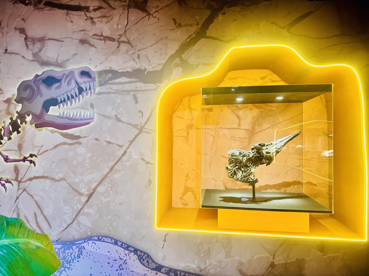 ★台北親子展覽推薦★『侏羅紀X恐龍光影展』2024年暑假恐龍 ★台北親子展覽推薦★『侏羅紀X恐龍光影展』2024年暑假恐龍