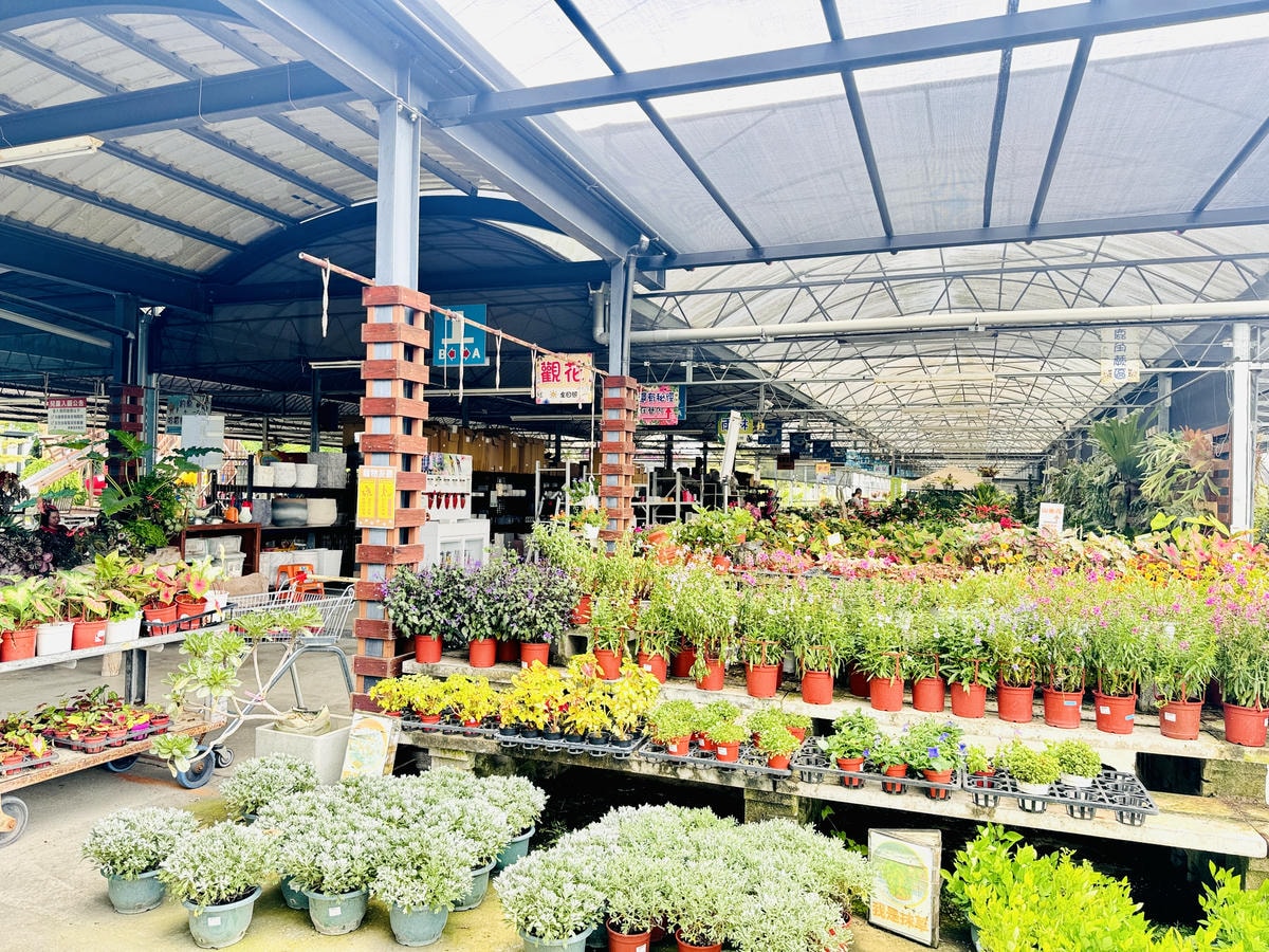 ★彰化親子景點推薦★免門票、免費停車『埔茂花市』超佛心親子景