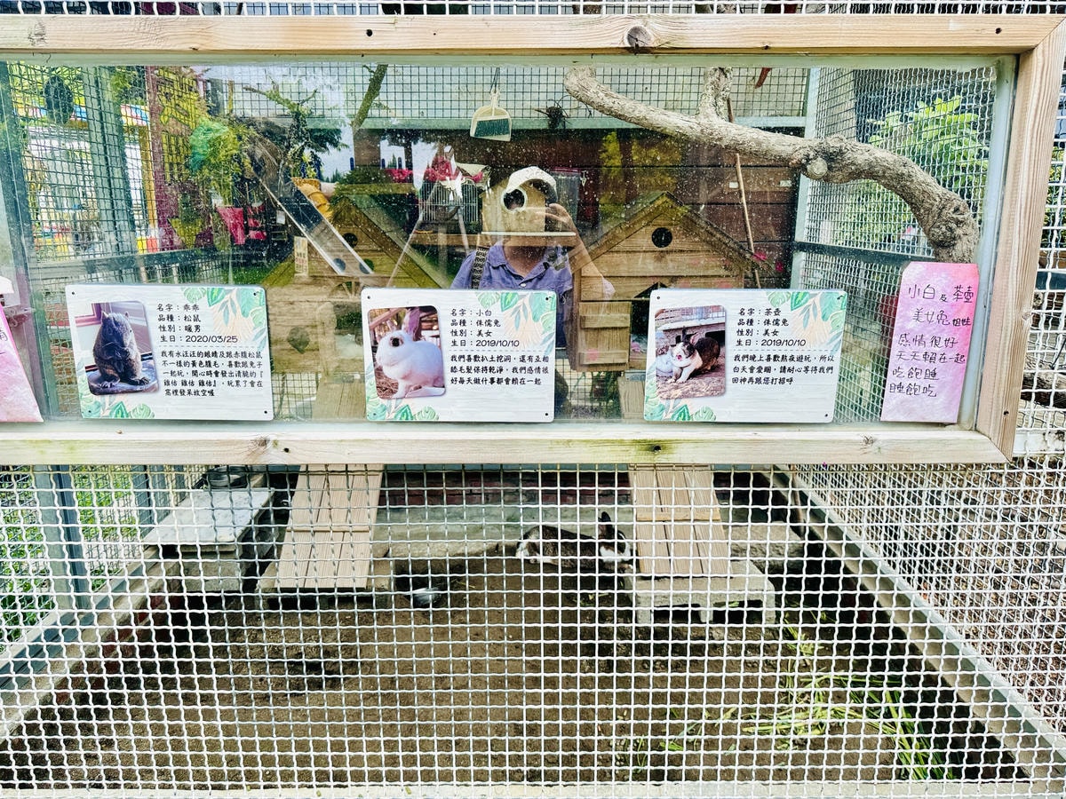 ★彰化親子景點推薦★免門票、免費停車『埔茂花市』超佛心親子景