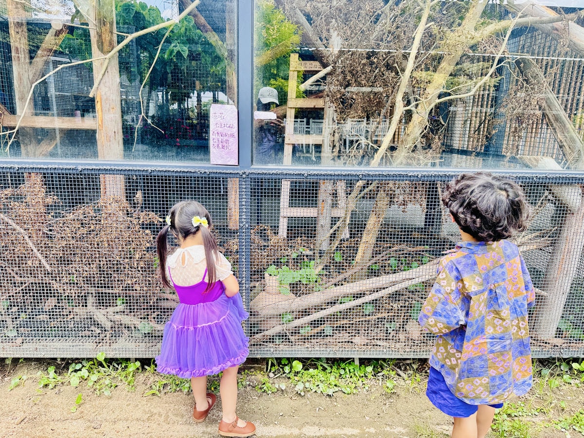 ★彰化親子景點推薦★免門票、免費停車『埔茂花市』超佛心親子景
