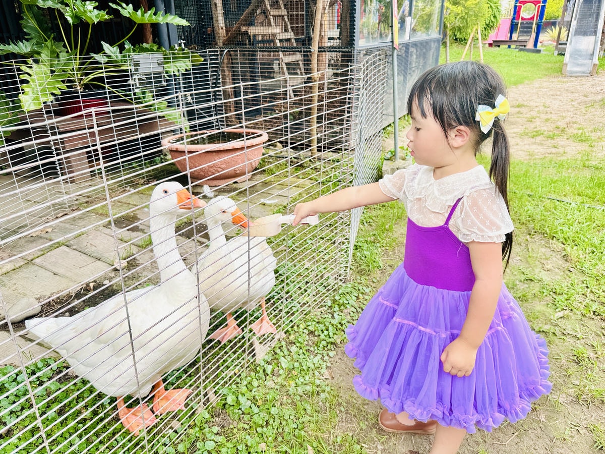 ★彰化親子景點推薦★免門票、免費停車『埔茂花市』超佛心親子景