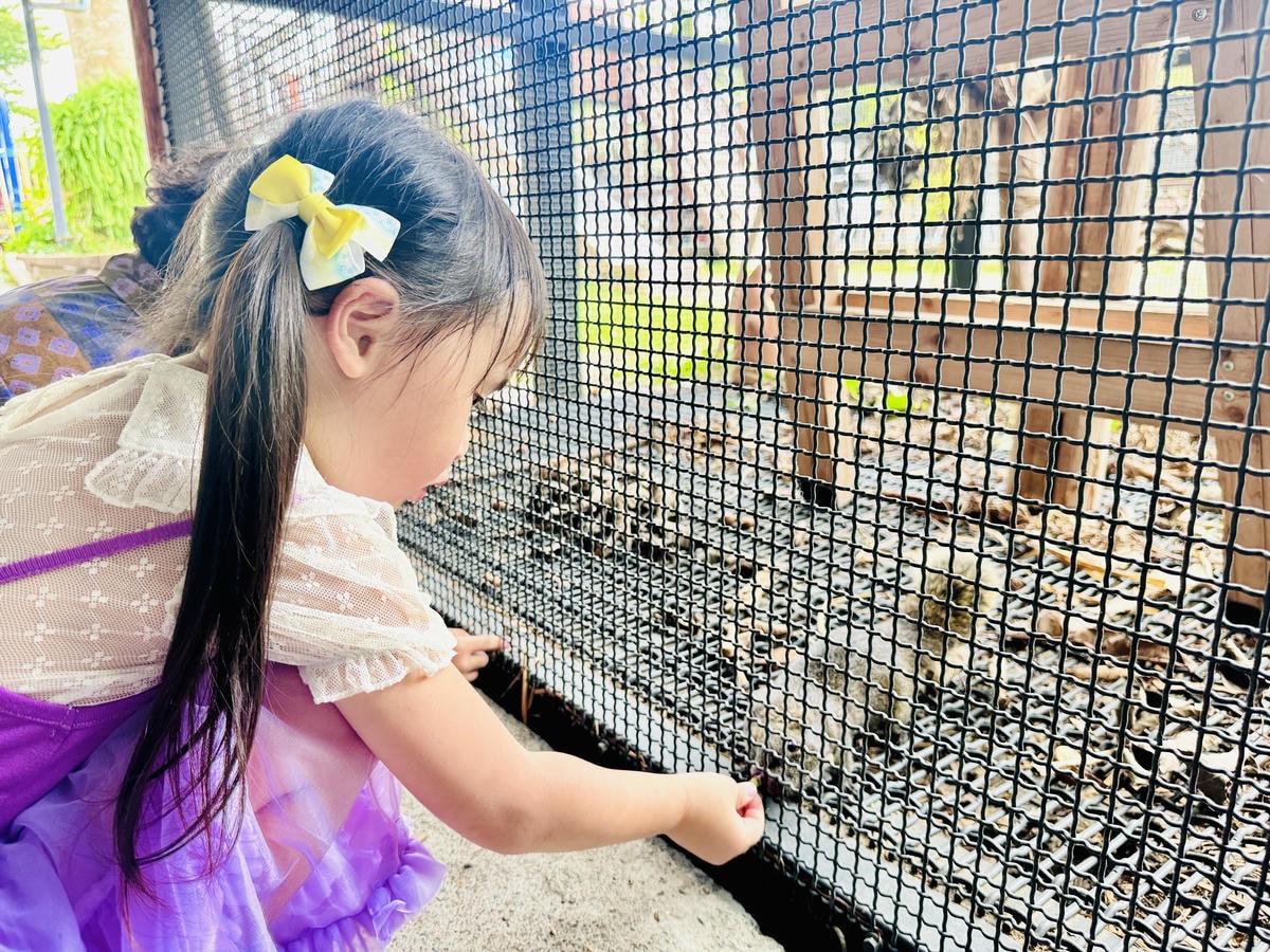 ★彰化親子景點推薦★免門票、免費停車『埔茂花市』超佛心親子景