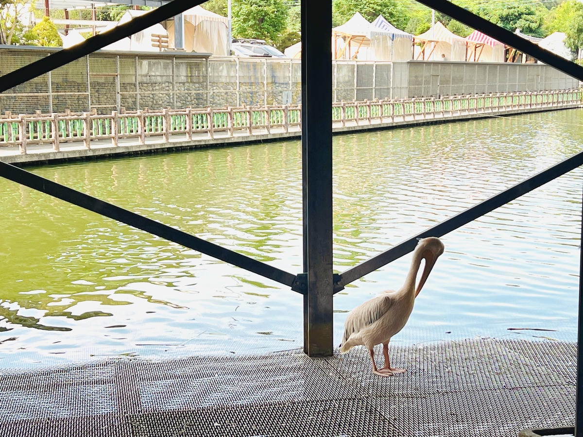 ★桃園●龍潭*隆泉休閒農場*有超可愛的水上哈比木屋露營區、網 ★桃園●龍潭*隆泉休閒農場*有超可愛的水上哈比木屋露營區、網