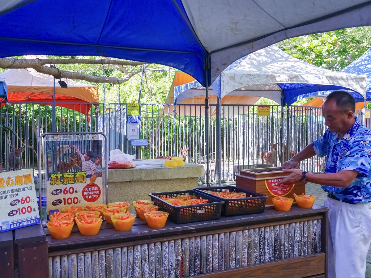 ★屏東墾丁親子住宿推薦★福華渡假飯店平日一泊一食$3000起 ★屏東墾丁親子住宿推薦★福華渡假飯店平日一泊一食$3000起