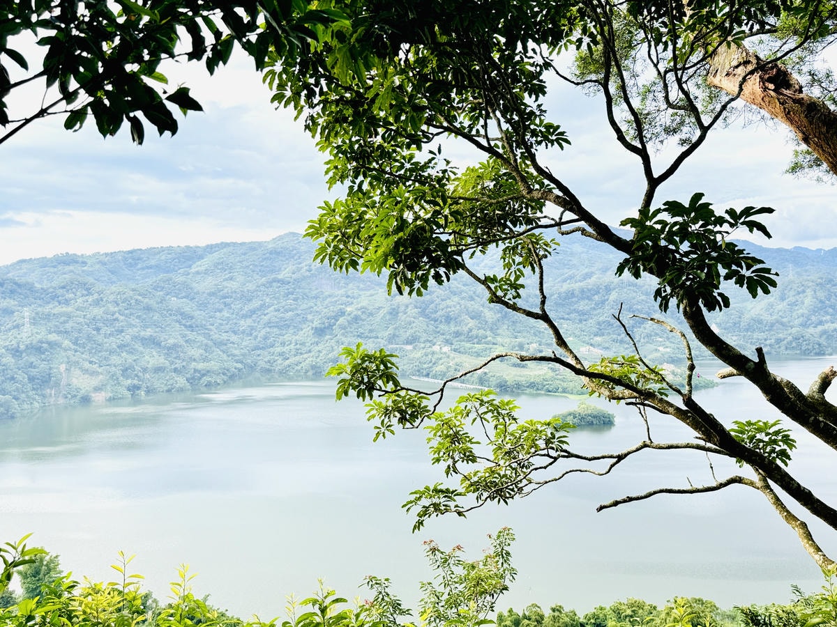 ★苗栗露營住宿推薦★『小巷清風』全台第一座全面採用AIRST ★苗栗露營住宿推薦★『小巷清風』全台第一座全面採用AIRST