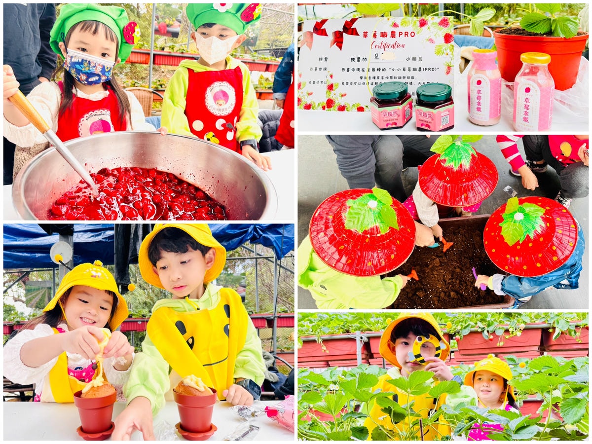 ★台北親子景點推薦★內湖草莓園-碧山路49號*2024年草莓