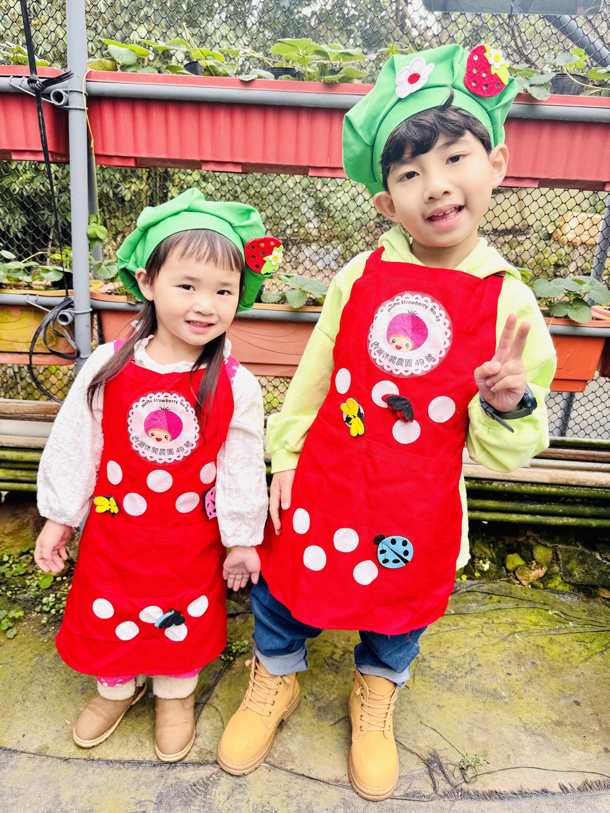 ★台北親子景點推薦★內湖草莓園-碧山路49號*2024年草莓 ★台北親子景點推薦★內湖草莓園-碧山路49號*2024年草莓