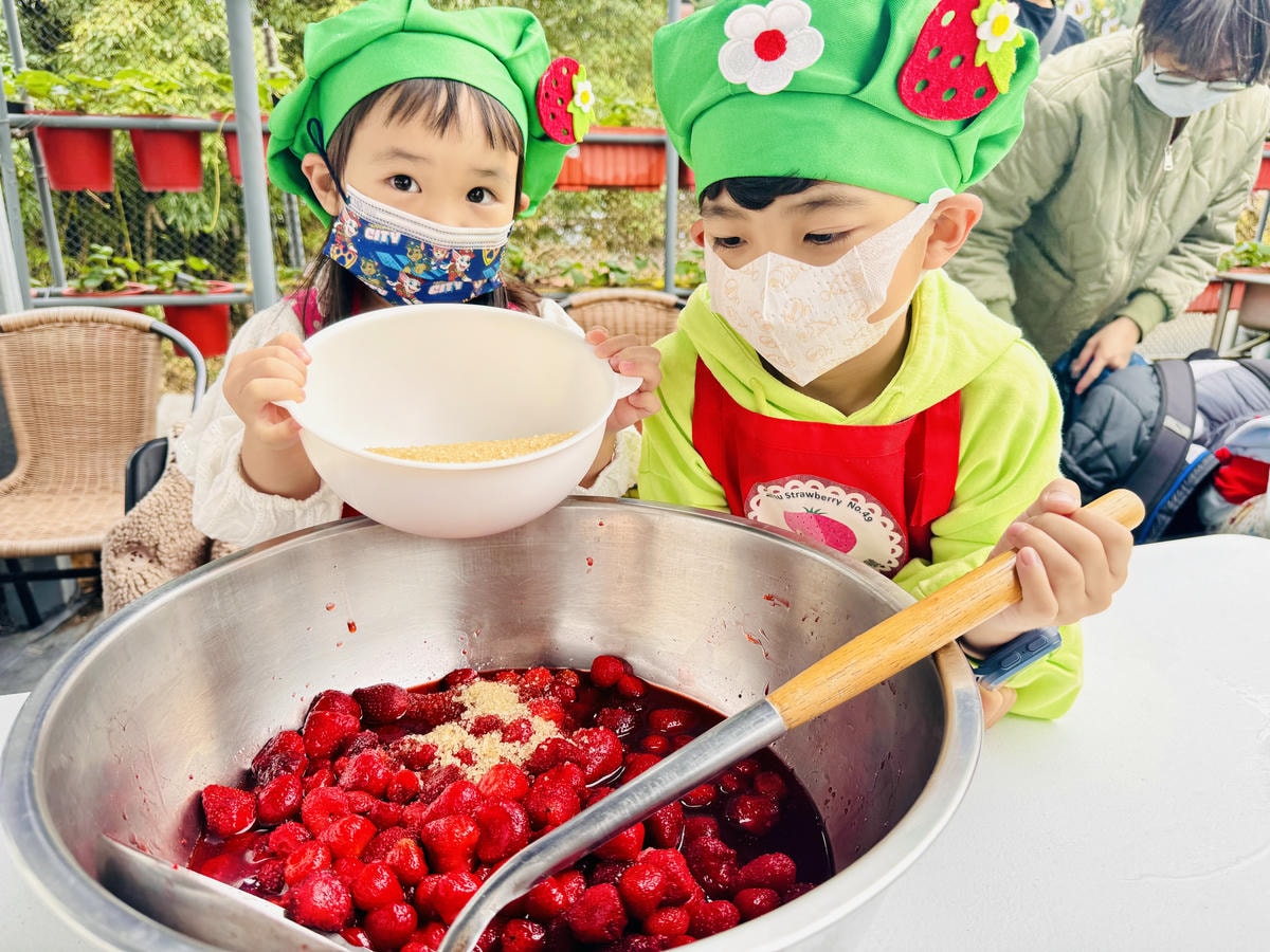 ★台北親子景點推薦★內湖草莓園-碧山路49號*2024年草莓 ★台北親子景點推薦★內湖草莓園-碧山路49號*2024年草莓