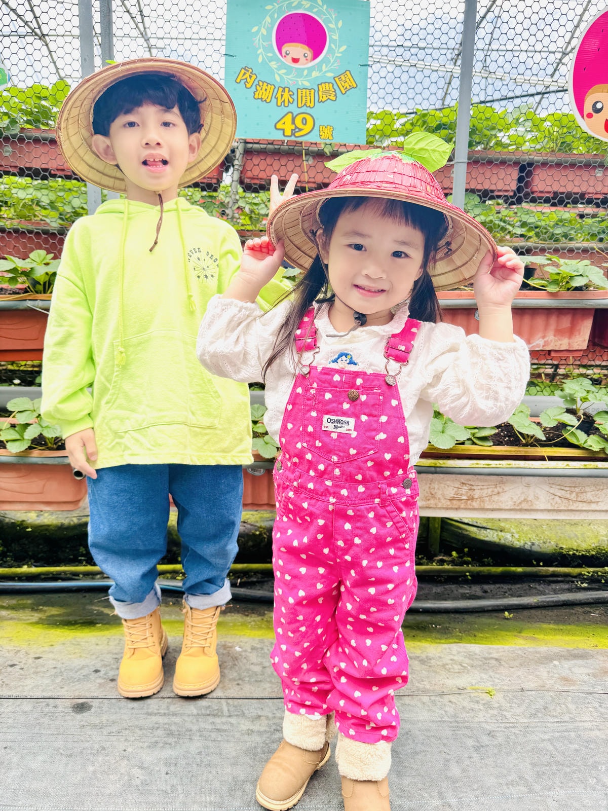 ★台北親子景點推薦★內湖草莓園-碧山路49號＊2024年草莓