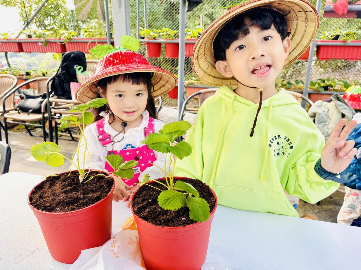 ★台北親子景點推薦★內湖草莓園-碧山路49號*2024年草莓 ★台北親子景點推薦★內湖草莓園-碧山路49號*2024年草莓