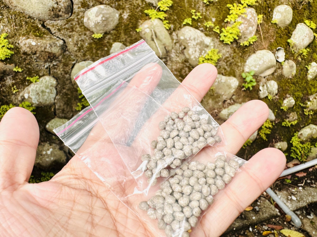 ★台北親子景點推薦★內湖草莓園-碧山路49號*2024年草莓 ★台北親子景點推薦★內湖草莓園-碧山路49號*2024年草莓