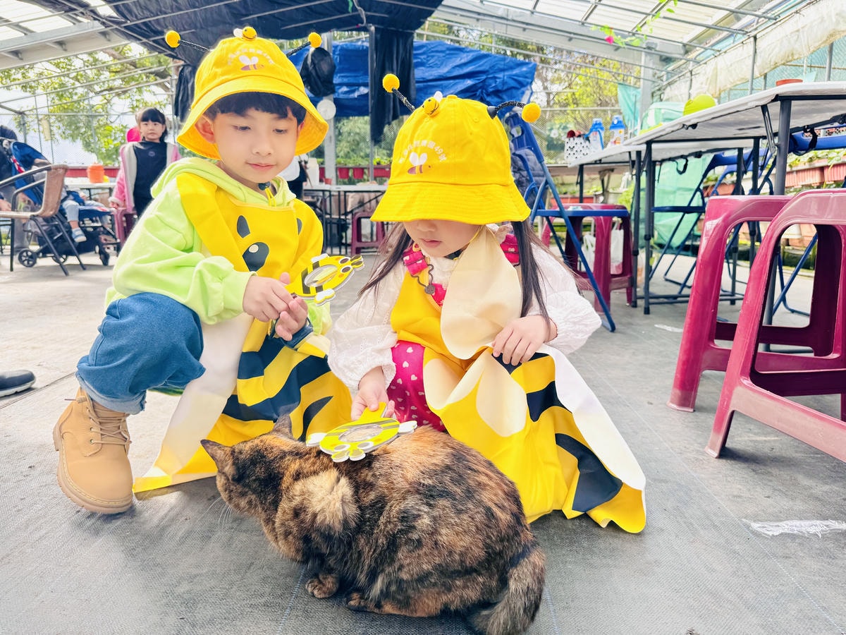 ★台北親子景點推薦★內湖草莓園-碧山路49號*2024年草莓 ★台北親子景點推薦★內湖草莓園-碧山路49號*2024年草莓