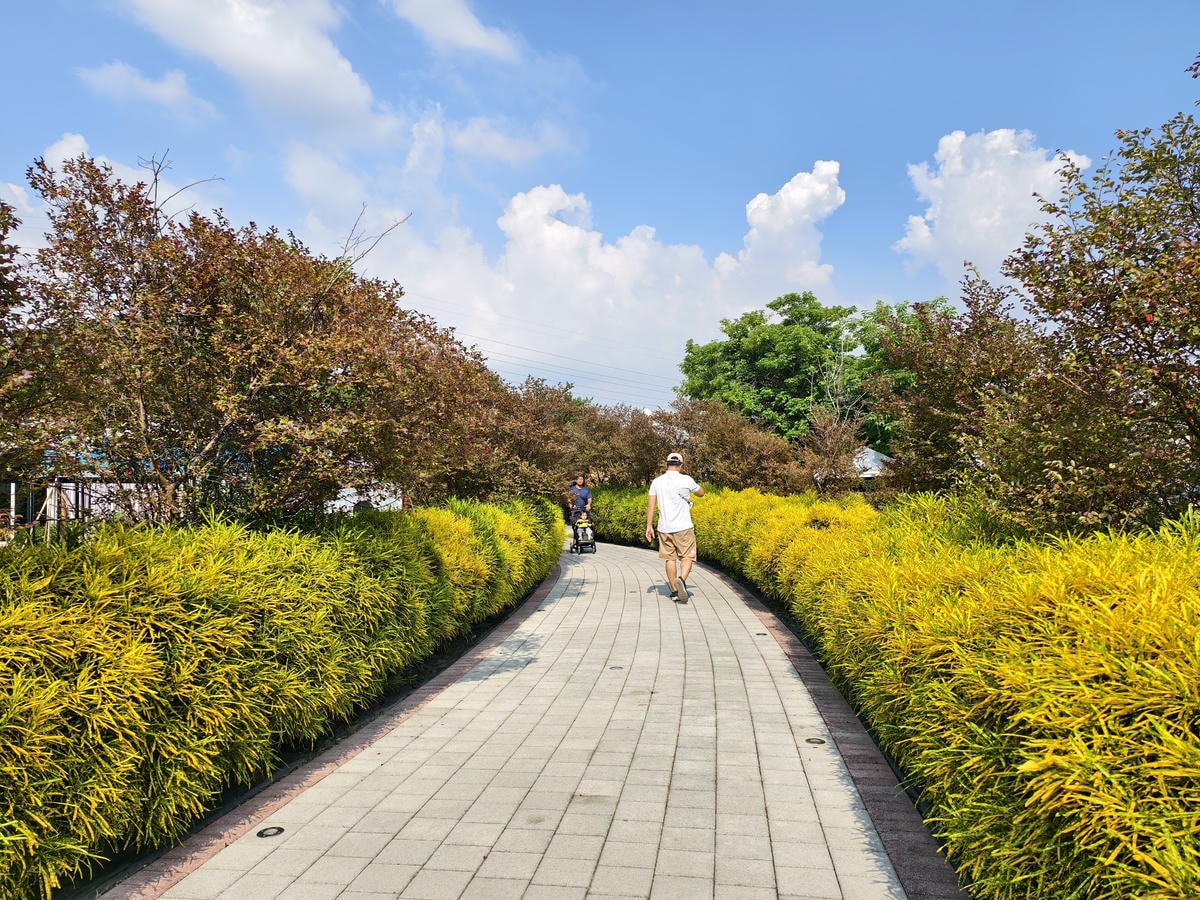 ★彰化親子露營推薦★哈比雪兒豪華懶人露營，一泊二食