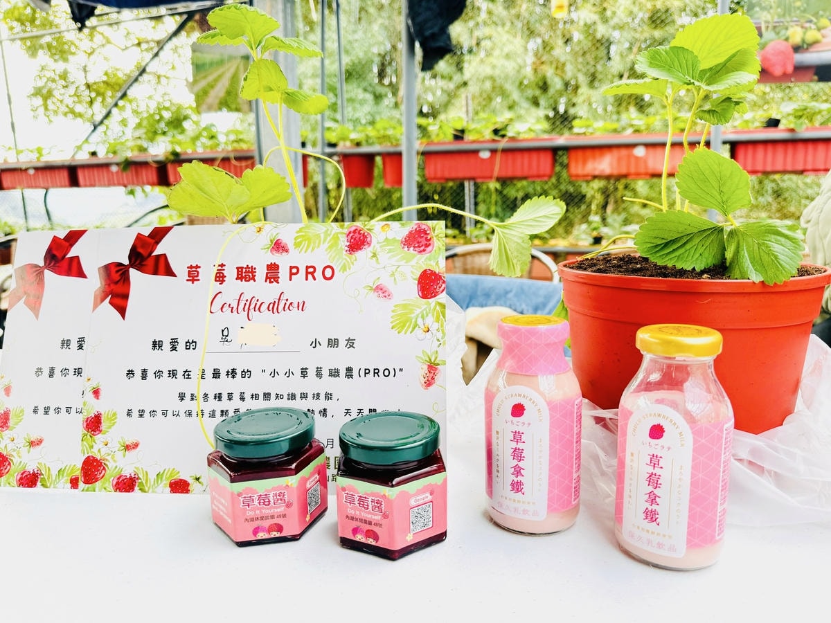 ★台北親子景點推薦★內湖草莓園-碧山路49號*2024年草莓 ★台北親子景點推薦★內湖草莓園-碧山路49號*2024年草莓