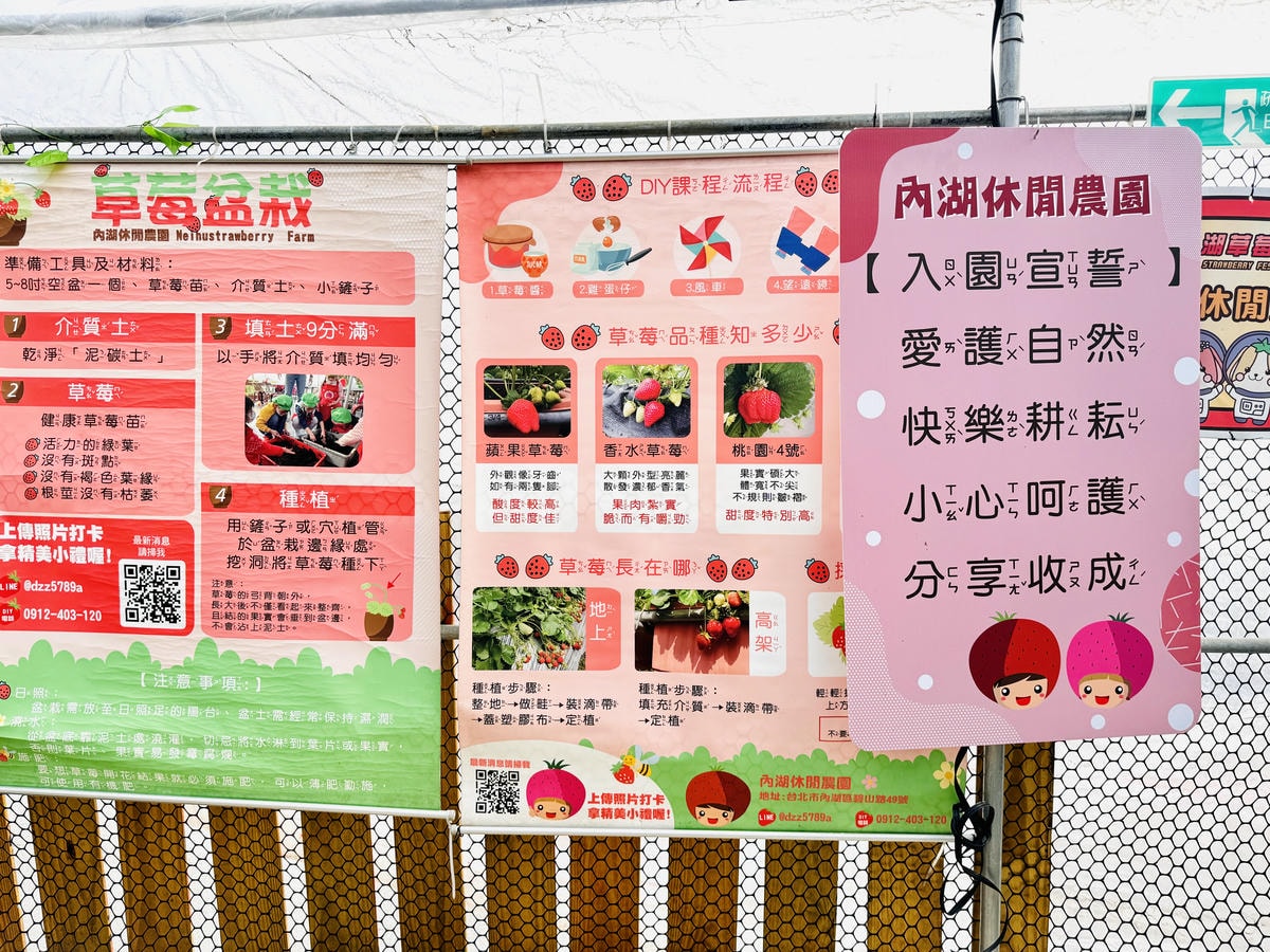 ★台北親子景點推薦★內湖草莓園-碧山路49號*2024年草莓 ★台北親子景點推薦★內湖草莓園-碧山路49號*2024年草莓