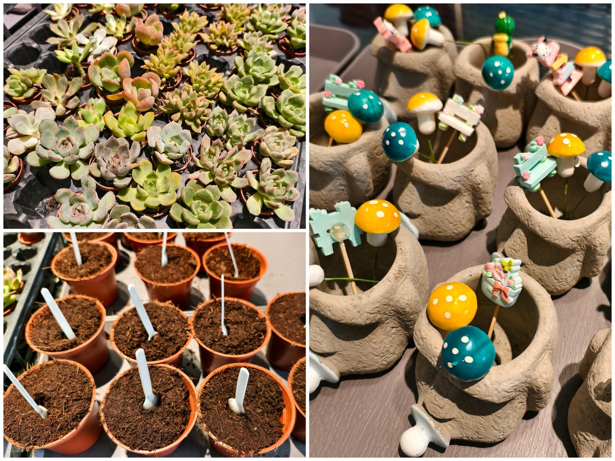 ★彰化親子露營推薦★哈比雪兒豪華懶人露營，一泊二食