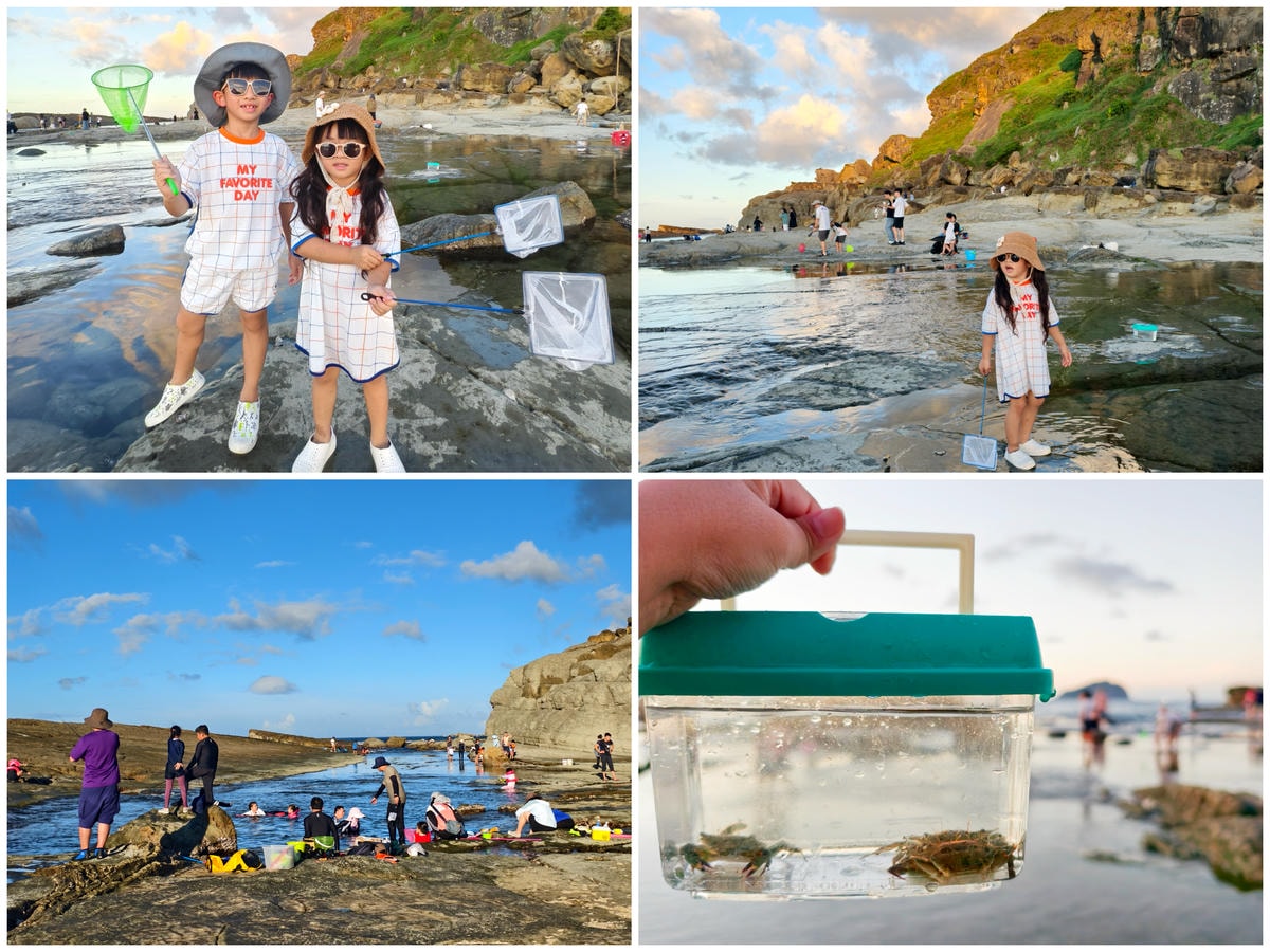 ★基隆親子景點推薦★『大坪海岸』免費親子秘境,豐富潮間帶生態