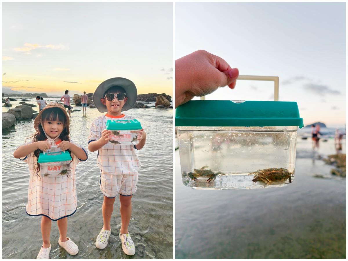 ★基隆親子景點推薦★『大坪海岸』免費親子秘境，豐富潮間帶生態