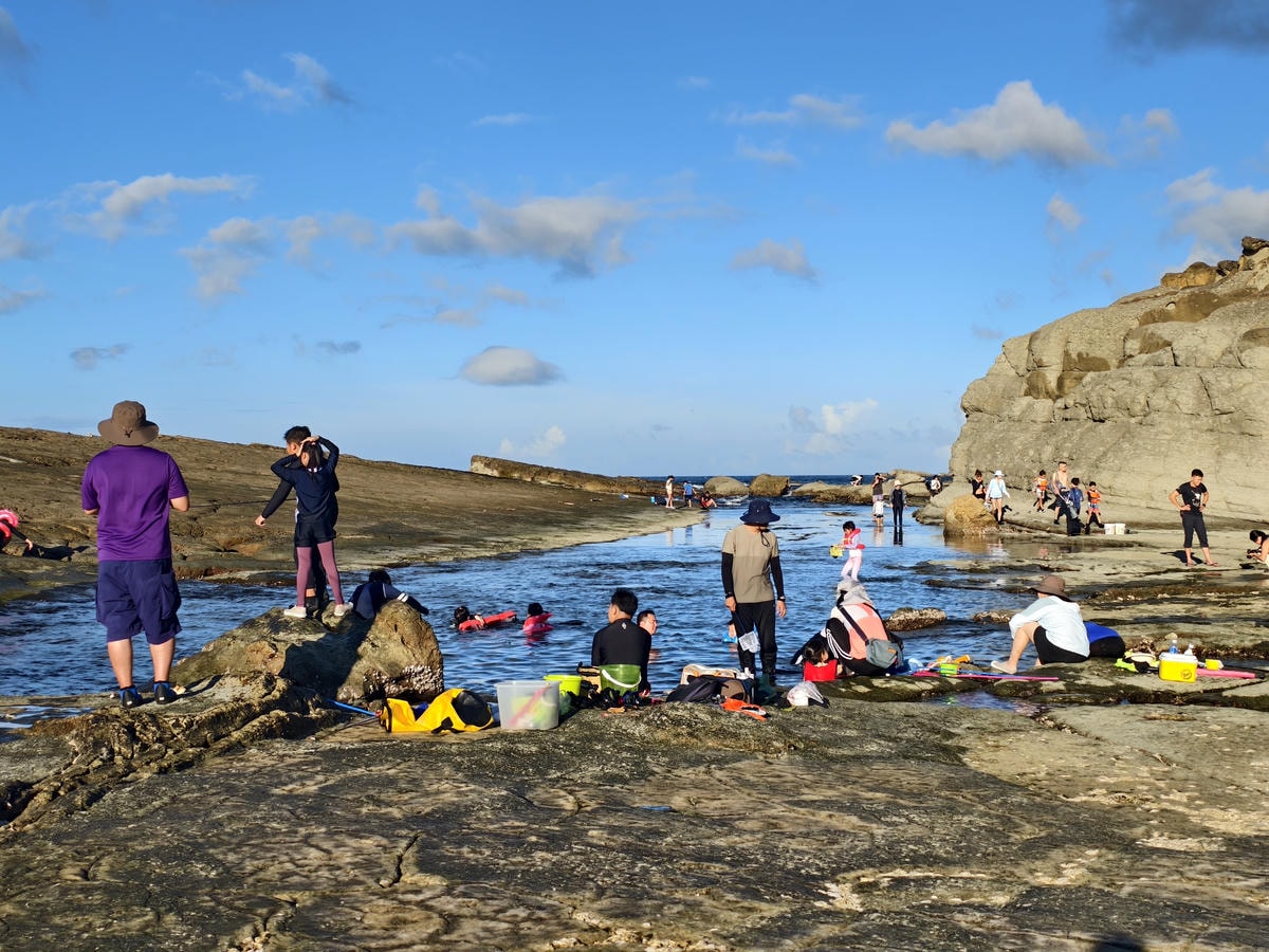 ★基隆親子景點推薦★『大坪海岸』免費親子秘境，豐富潮間帶生態