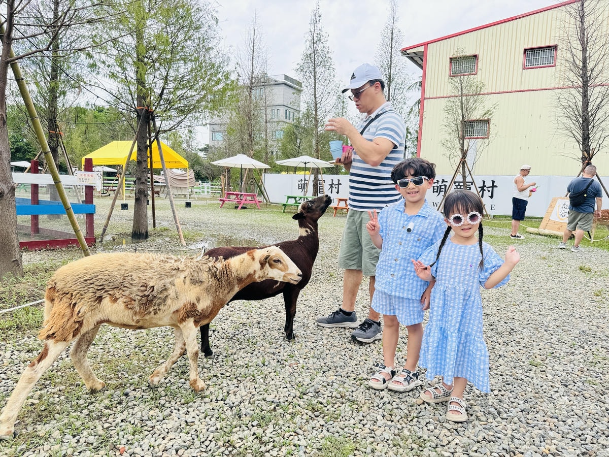 ★嘉義親子景點推薦★嘉義最新親子農場樂園『萌寵村』