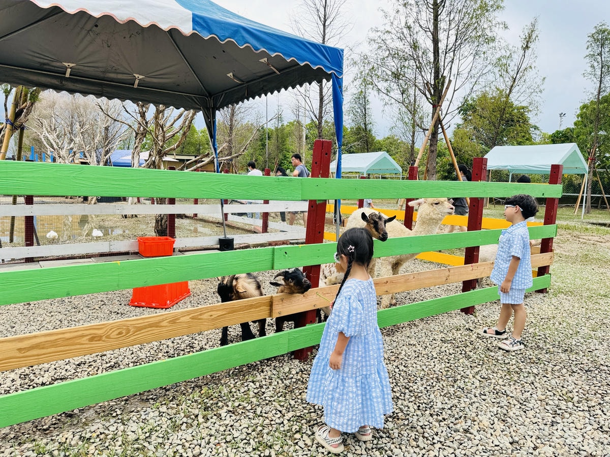 ★嘉義親子景點推薦★嘉義最新親子農場樂園『萌寵村』