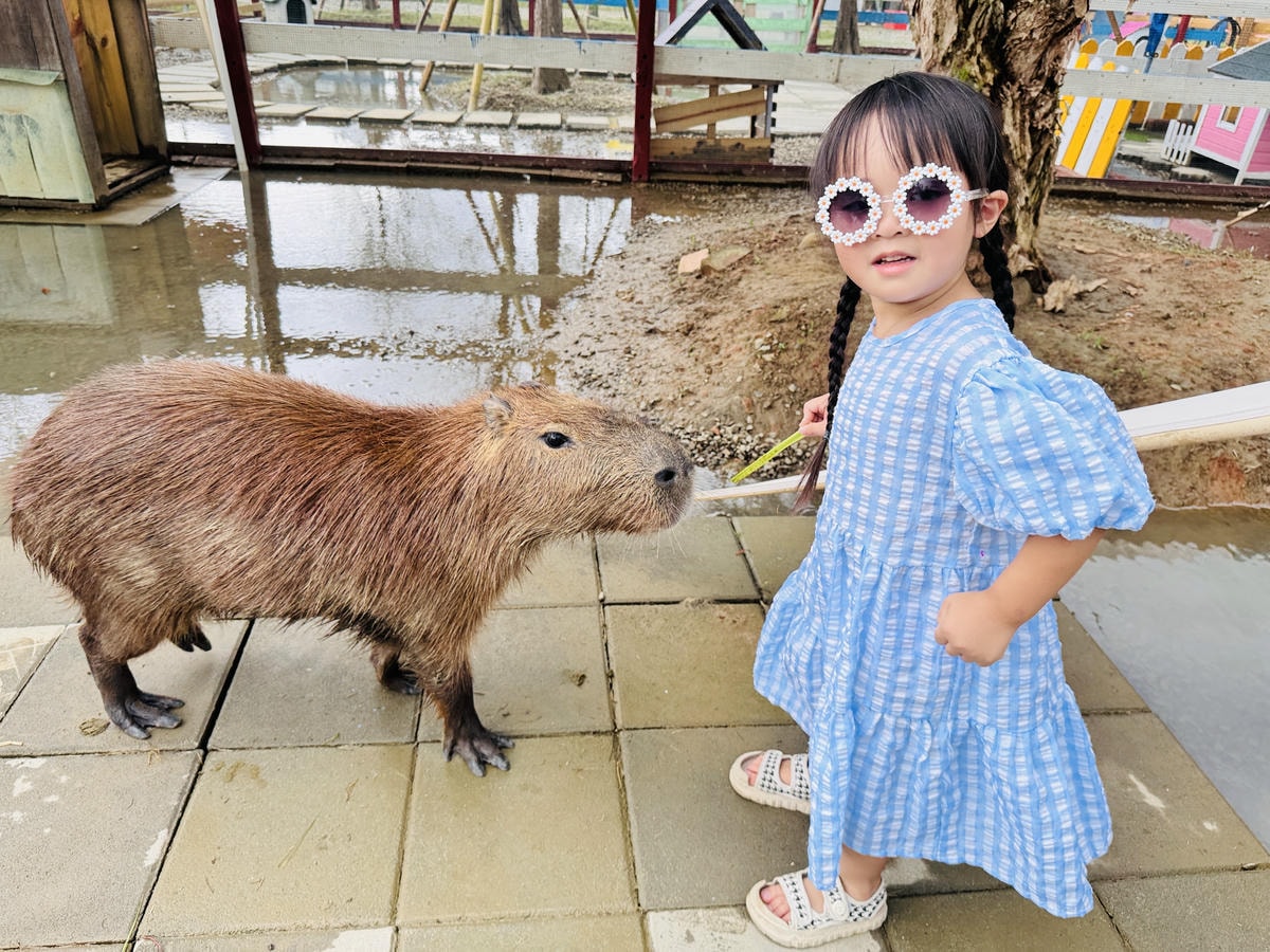 ★嘉義親子景點推薦★嘉義最新親子農場樂園『萌寵村』