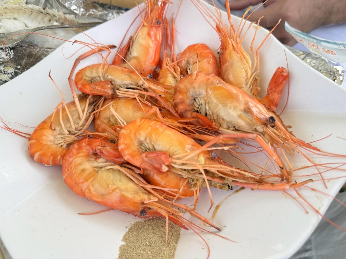 ★宜蘭親子景點推薦★『 輕親魚朵生態園區 』免門票入園參觀，