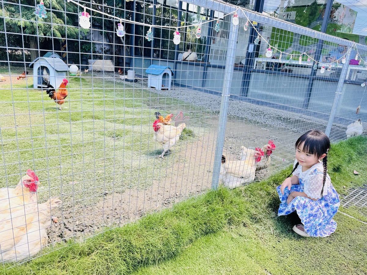 ★嘉義親子景點推薦★可愛繽紛的『果然茶香觀光園區』,騎車車、 ★嘉義親子景點推薦★可愛繽紛的『果然茶香觀光園區』,騎車車、